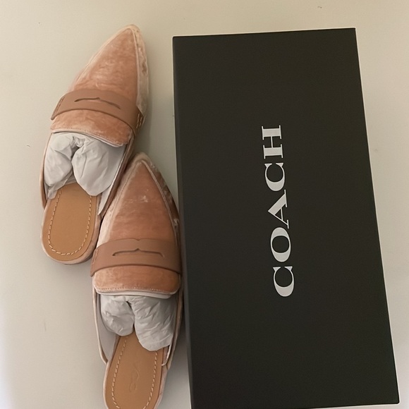 Coach Nova Lof Velvet Mules - Picture 5 of 5